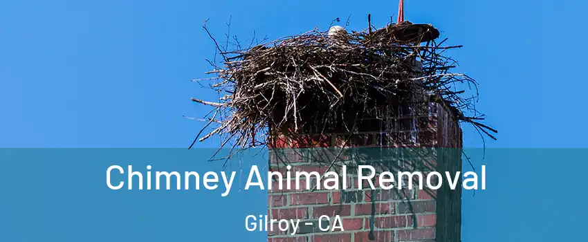 Chimney Animal Removal Gilroy - CA