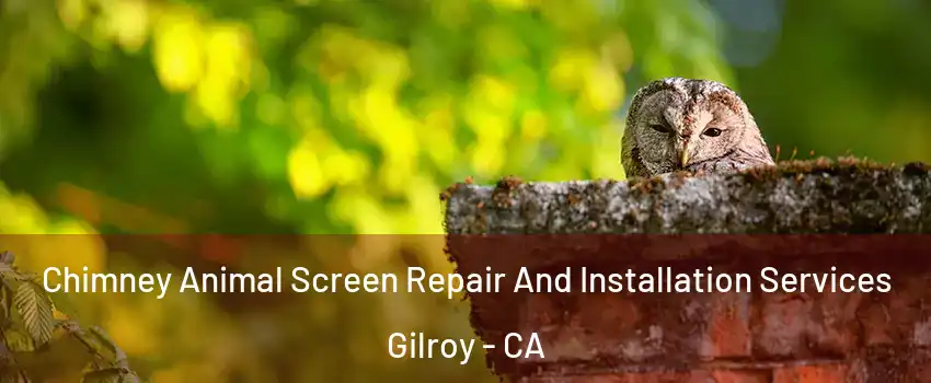  Chimney Animal Screen Repair And Installation Services Gilroy - CA