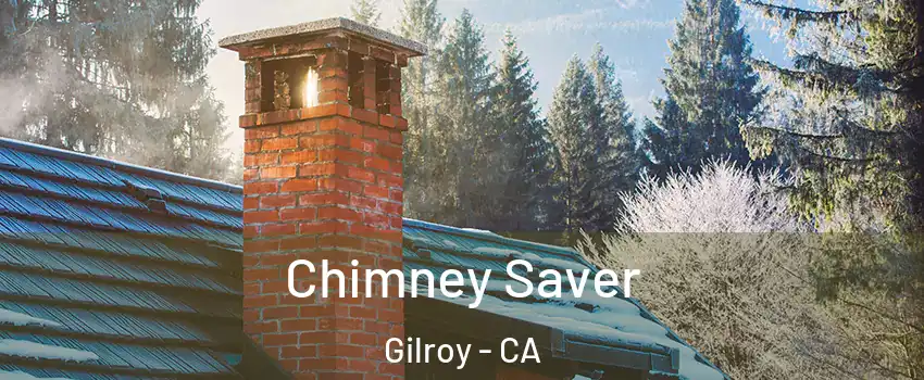  Chimney Saver Gilroy - CA
