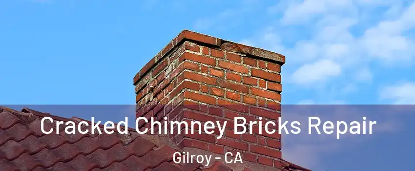  Cracked Chimney Bricks Repair Gilroy - CA