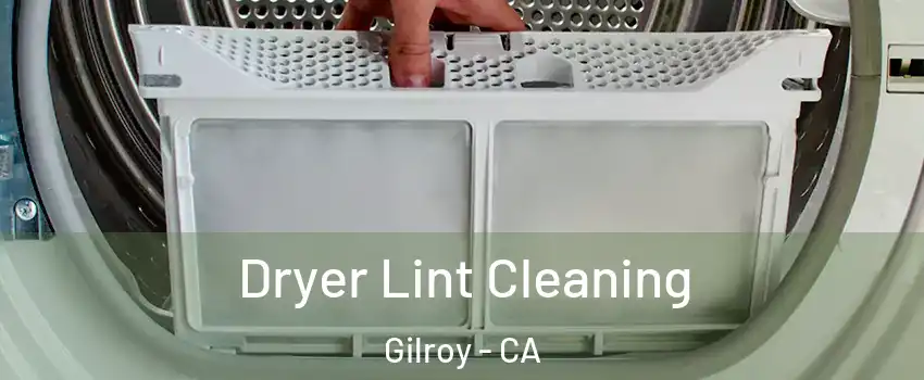  Dryer Lint Cleaning Gilroy - CA