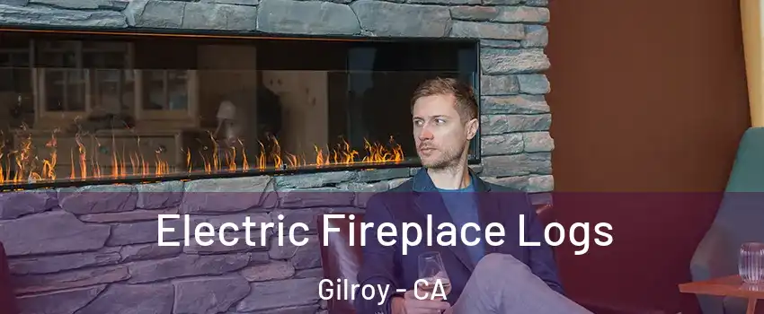  Electric Fireplace Logs Gilroy - CA