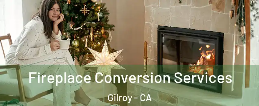  Fireplace Conversion Services Gilroy - CA