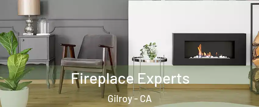  Fireplace Experts Gilroy - CA