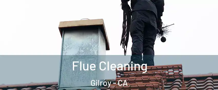  Flue Cleaning Gilroy - CA
