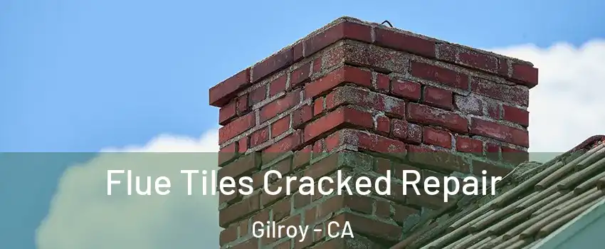  Flue Tiles Cracked Repair Gilroy - CA