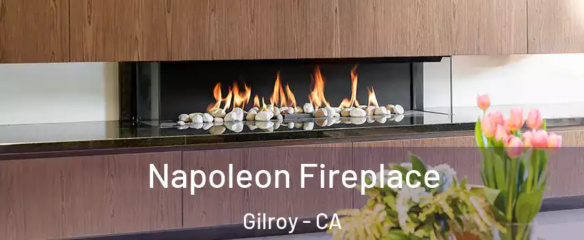  Napoleon Fireplace Gilroy - CA