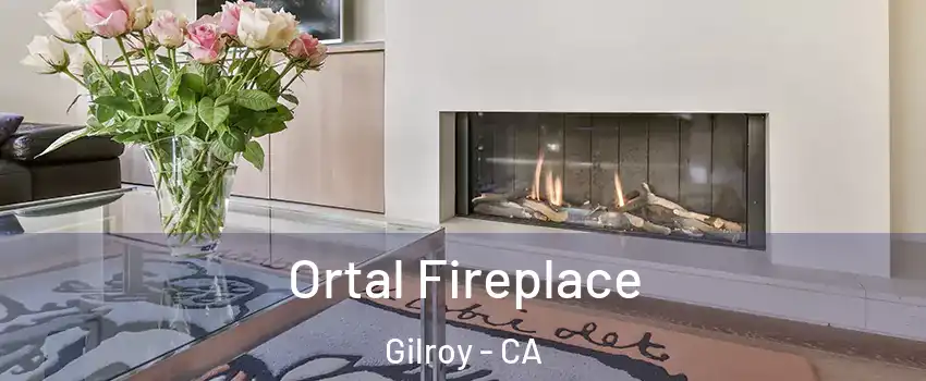 Ortal Fireplace Gilroy - CA