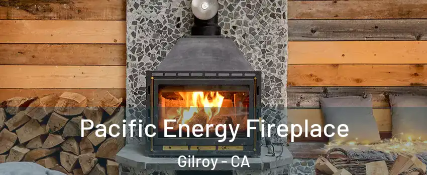  Pacific Energy Fireplace Gilroy - CA